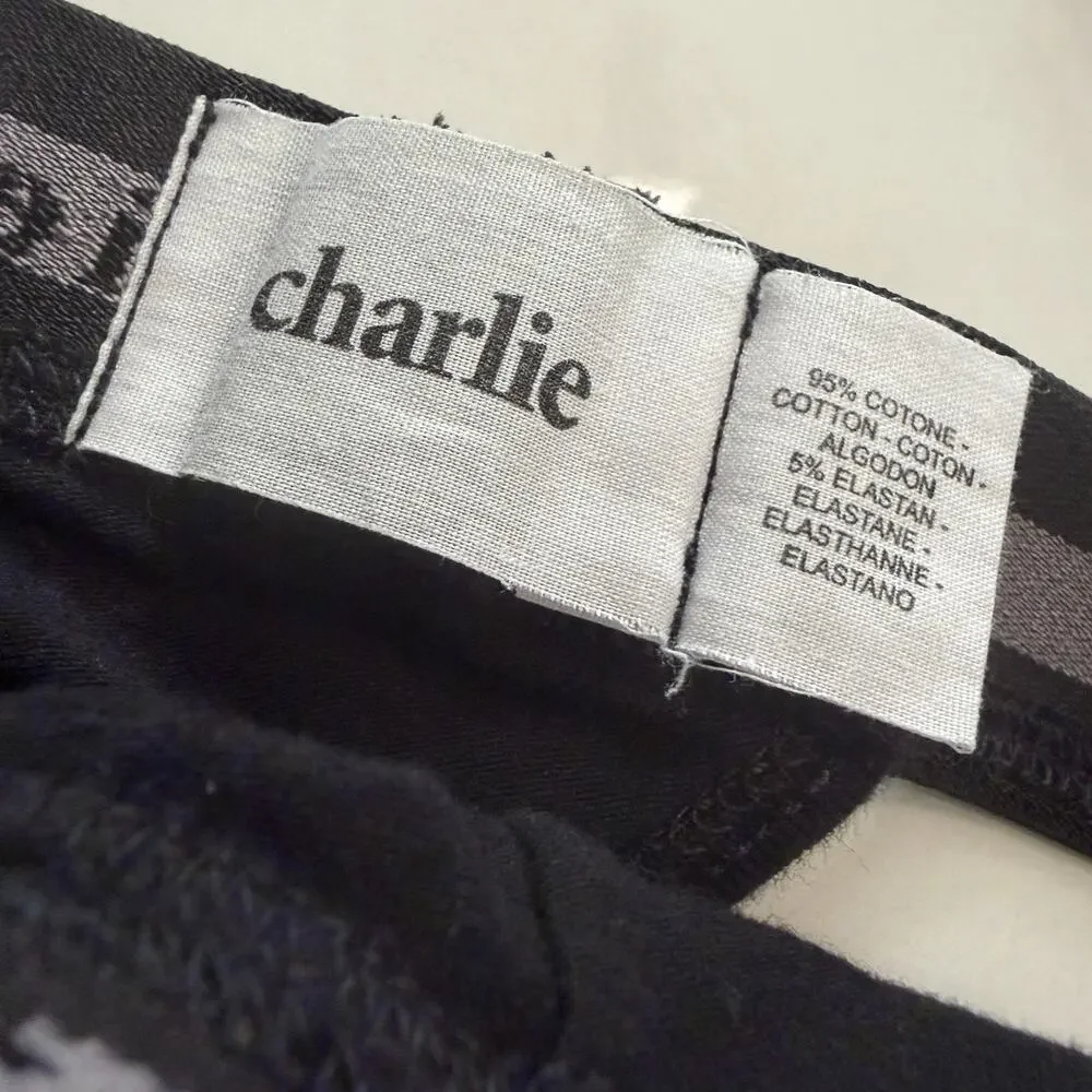 Charlie By Matthew Zink new charlie